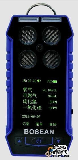 有毒氣體檢測(cè)儀